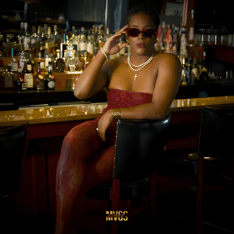 Cover MVGS - Referee