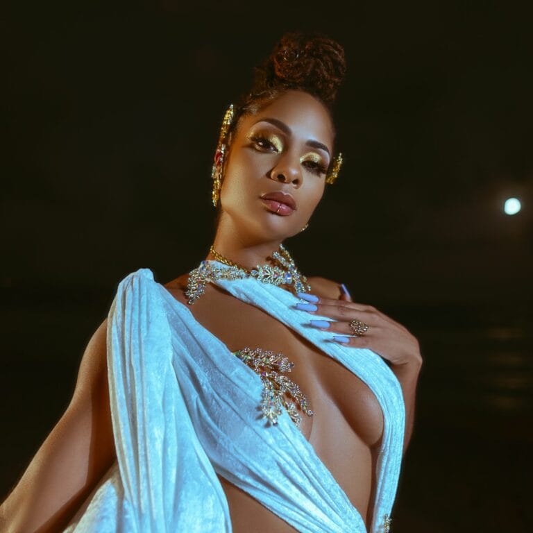 Cover Rachelle Allison - Féeries